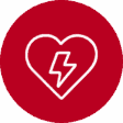 Biphasic shock delivery, 12-lead ECG, SpO2, NIBP, EtCO2 and&nbsp;temperature 